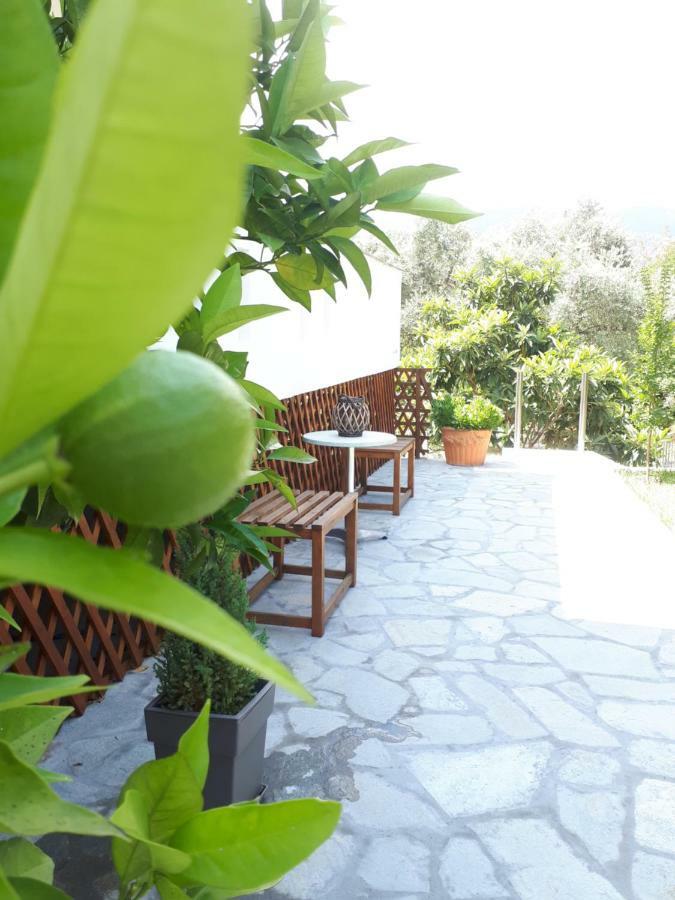 Studios Thea Fresh Rooms Thassos Limenas (Thasos) Exterior foto